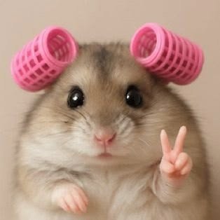 พอวา. พี่จิรันคนสวย✨️💕's profile picture