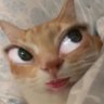 D profil fotoğrafı