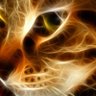 GrV profil fotoğrafı