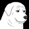 Dog's profile picture