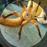 Profilbild von ïŸïŸïŸïŸââââïŸð