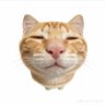 Profilbild von もも
