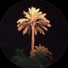 f's profile picture
