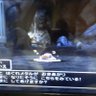 Фото профиля teruo