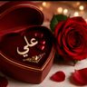 Profilbild von ❤عـ❣ـلي❤