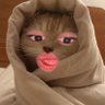 🍑— 𝖇𝖊𝖆𝖗𝖐𝖎𝖒's profile picture