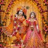 Vipin Yadav UP _42 (अयोध्या) 的头像