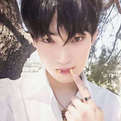 twtnoo's profile picture
