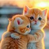 ✨✨เจ็บแล้วจำ✨✨💞รักซนซน🐶🐱⛅'s profile picture
