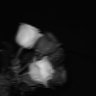 Profilbild von wraith