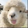 Mio🐐 profil fotoğrafı