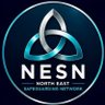 Фото профиля North East Safeguarding Network.