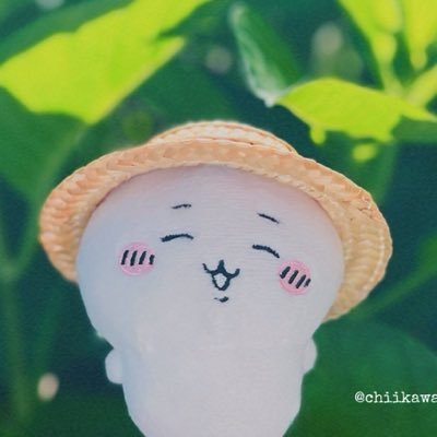 でかくま🦑エンペラ!?'s profile picture