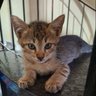 Фото профиля 😼