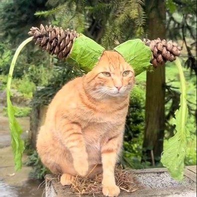 evilionyou's profile picture