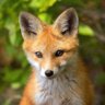 Фото профиля Alex Taylor