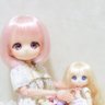 如月ミネルヴァ@二年目ドールオーナー 的头像