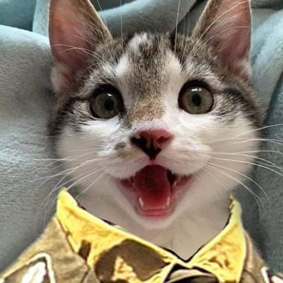 dekat1488's profile picture
