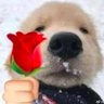 Profilbild von บ๊กอาริ ♡︎