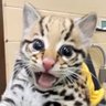 eddie's profile picture