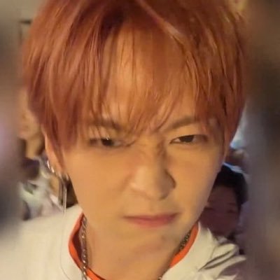 fox ● ˕ ● & 🍅🐱's profile picture
