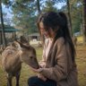 animals's profile picture