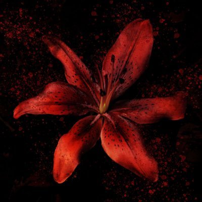 xeus1tap's profile picture