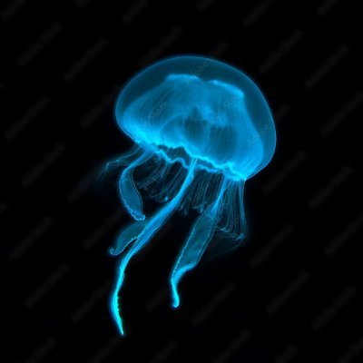 らら's profile picture