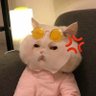 บุ๋ง บุ๋ง 🐡💨(ft.เสเล้ปติ๊กฟ้า)'s profile picture