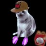 Roveniq's profile picture