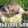 Alex Tem's profile picture