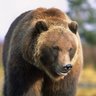 Profilbild von yogi