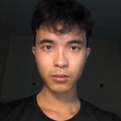 lethanhliemlogs's profile picture