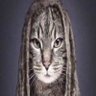 Ivanxu profil fotoğrafı