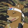 Profilbild von JinDan