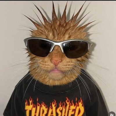 ihavepickle333's profile picture
