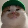 Genghiskhan's profile picture