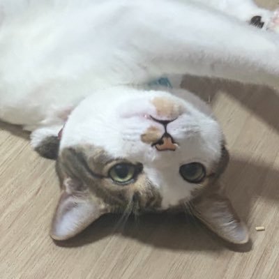 Barbozari's profile picture