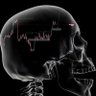 Brain_Wiser📊📈📉 的头像