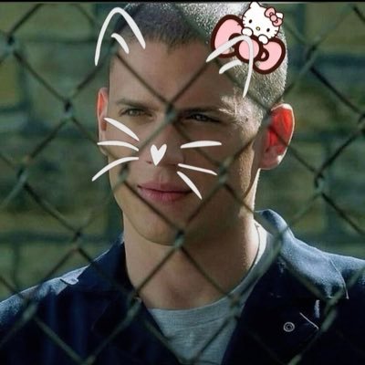 n ఌ's profile picture