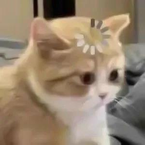 sourblueberryck's profile picture