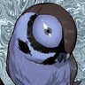 BratNeverDie00's profile picture