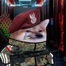 Ślepy's profile picture