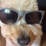 Ami_03🦑🦾 profil fotoğrafı