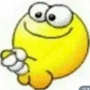 Nassim228003's profile picture