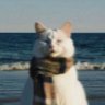 buğlem profil fotoğrafı