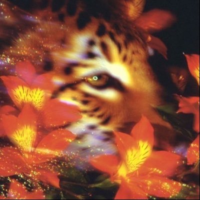 TOXICJAGS's profile picture