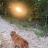 SouthernMaddog🇺🇸-☘️🇵🇱 profil fotoğrafı