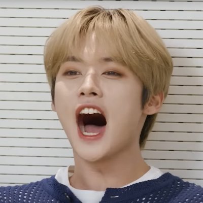 鹊🍁's profile picture