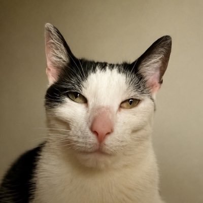 mikkelele_'s profile picture